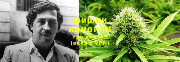 прущие грибы Осташков