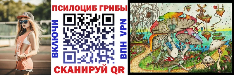 купить наркотик  Стародуб  блэк спрут ONION  сайты даркнета какой сайт  Галлюциногенные грибы прущие грибы 